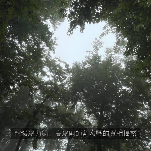 超級壓力鍋：高壓廚師割喉戰的真相揭露 海报