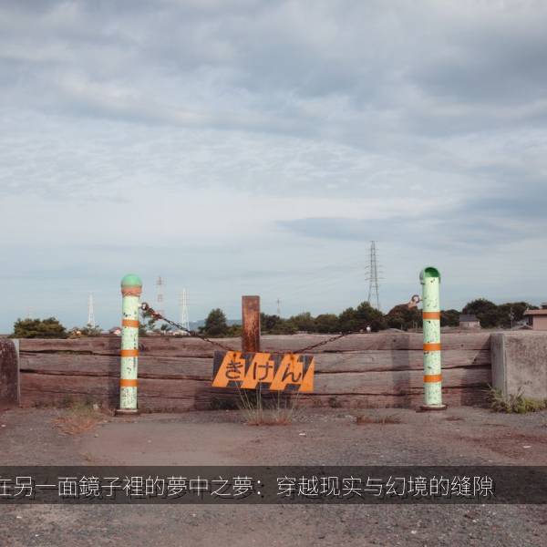 在另一面鏡子裡的夢中之夢：穿越现实与幻境的缝隙 海报